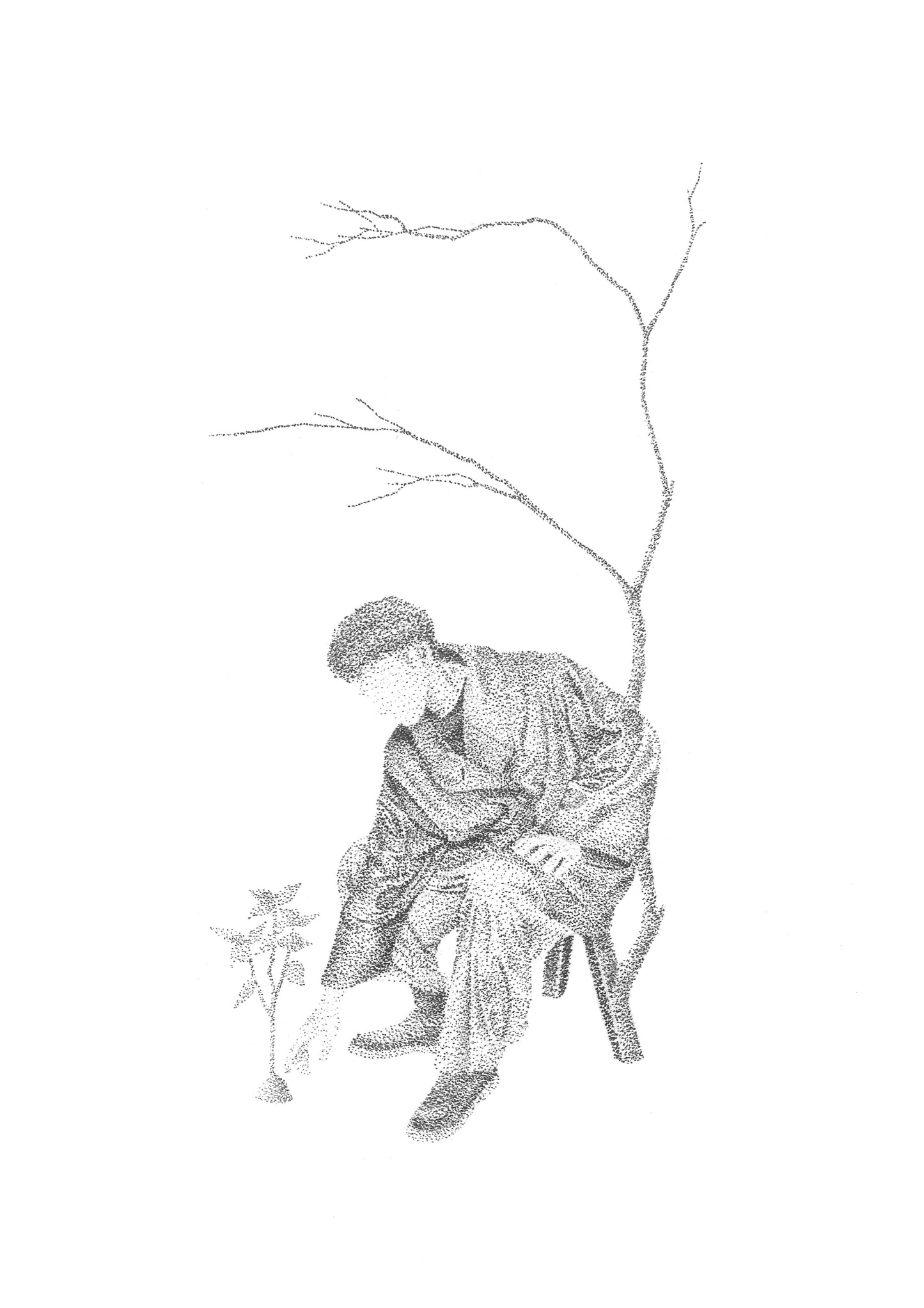 Présence discrète 02 - Reproduction