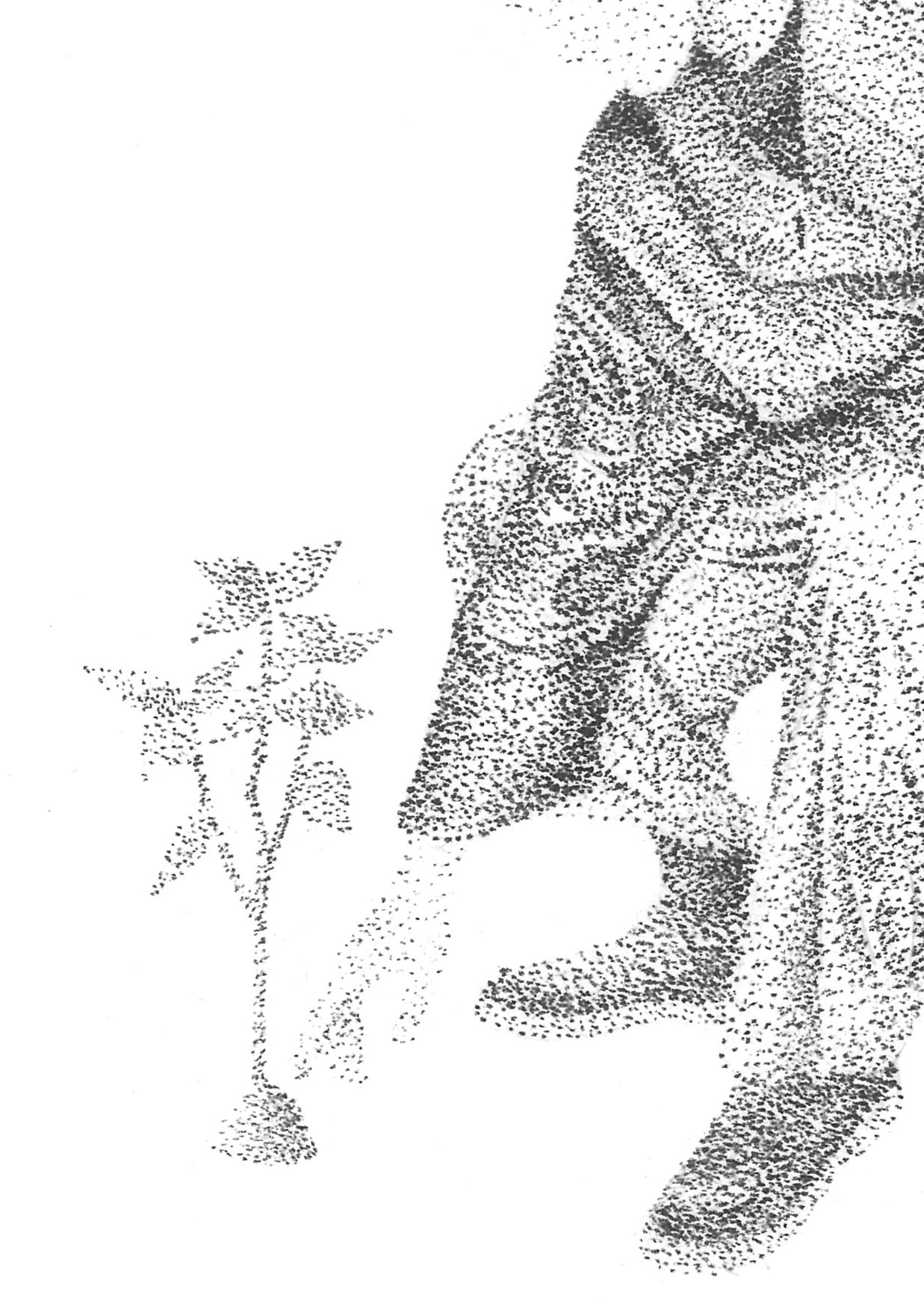 Présence discrète 02 - Reproduction